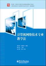 计算机网络技术专业教学法 计算机技术开发的双色路径